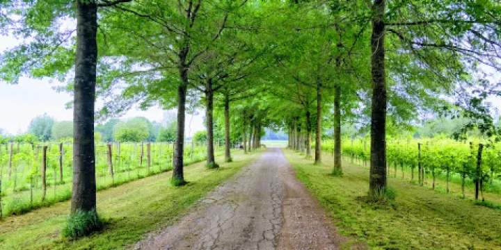 Wijngoed Montferland