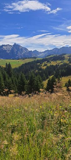 Cabinovia Col Alt-博尔扎诺-上阿迪杰自治省