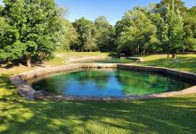 Blue Springs State Park景点图片