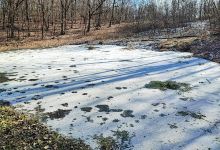 Lacul Ochi Albi景点图片