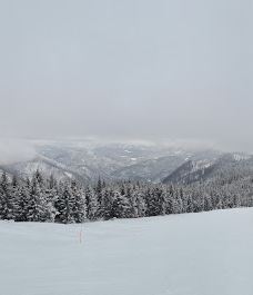 Ski School Ötscher Lackenhof-沙伊布斯