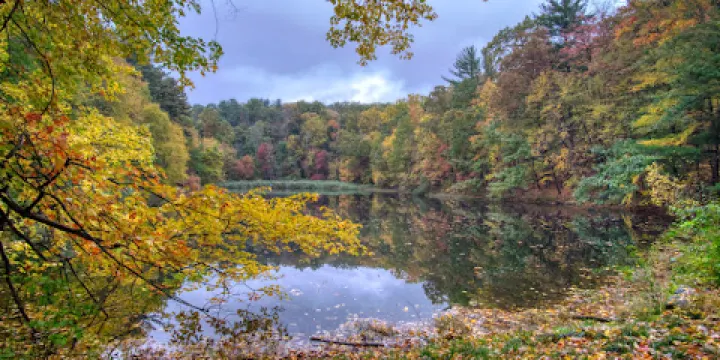 Westmoreland Sanctuary