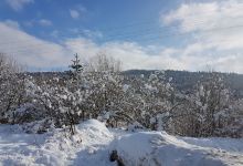 Bolu Kent Ormanı景点图片