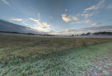 Bungarribee Reserve景点图片