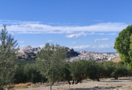 Mirador de Baena景点图片