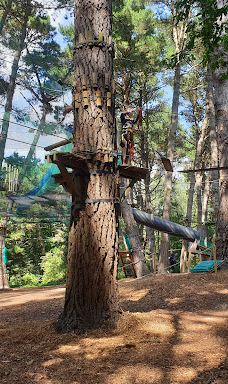 Parc des Gayeulles-雷恩