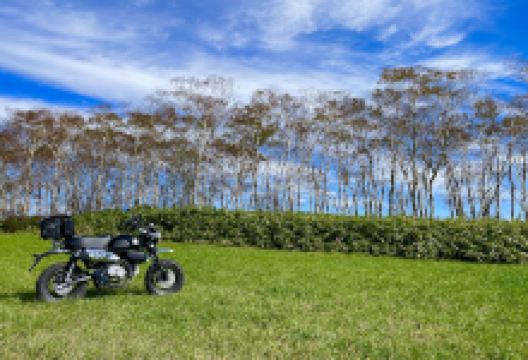 早坂高原景点图片