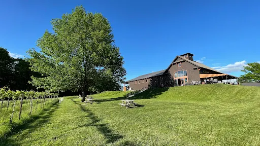 Shelburne Vineyard