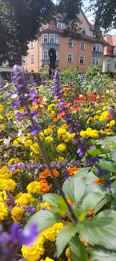 Stadtgraben Park-罗特韦尔