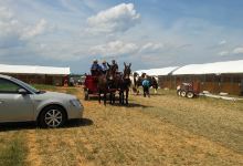 Horse progress days景点图片