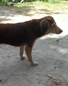 St. Jude Village Park-圣费尔南多