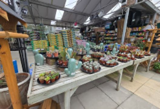 Long Ash Garden Centre购物图片