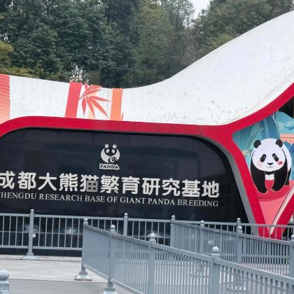 成都+成都大熊猫繁育研究基地+盐业历史博物馆+乐山大佛+蜀南竹海+都江堰景区6日5晚私家团