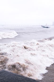 观潮城-杭州
