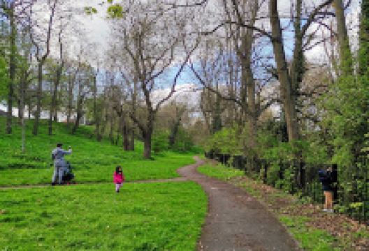 Harewood Pleasure Gardens景点图片
