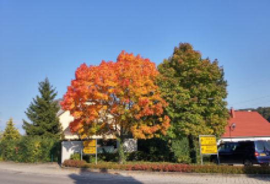 Raschpëtzer Qanat景点图片