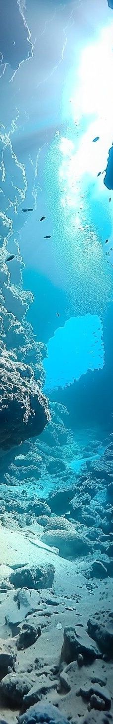 穆罕默德国家公园-Qesm Sharm Ash Sheikh