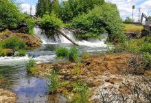 Brewery Park at Tumwater Falls景点图片