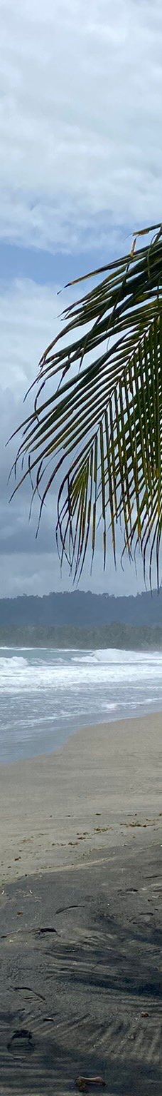 卡维塔国家公园-Talamanca