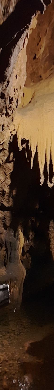 Grottes de Betharram-圣佩德比戈尔