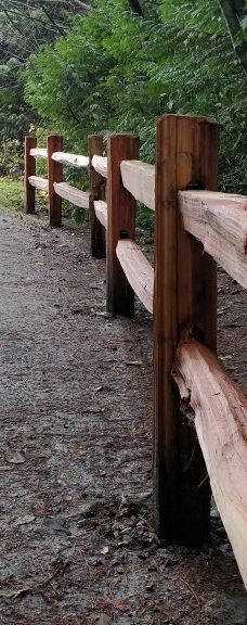 中央公园-本那比