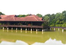 HUTAN BANDAR RINI景点图片