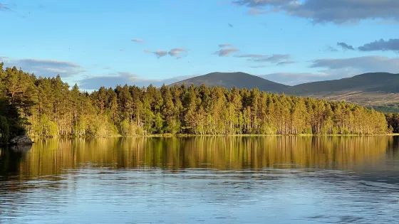 RSPB Loch Garten