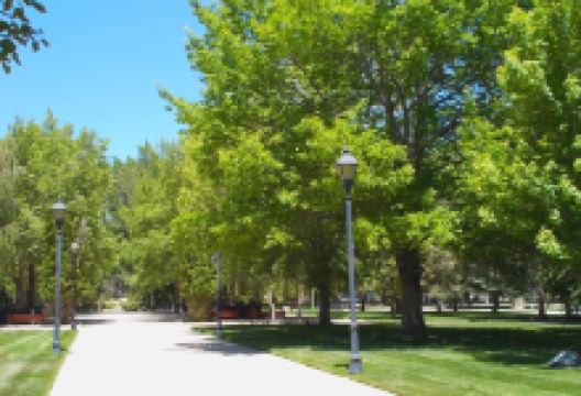 Capitol Complex景点图片