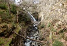 Coed y Brenin Forest Park景点图片