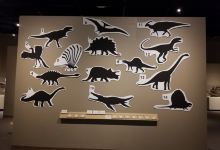 Farmington Museum景点图片