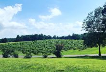 Stony Knoll Vineyards景点图片