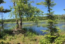 Rural Rootz Nature Reserve景点图片