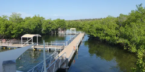 Delfinario de Cienfuegos