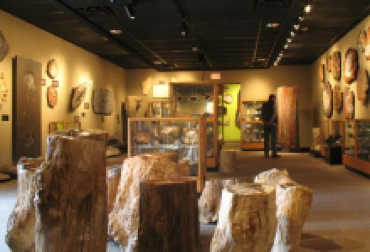 The Zuhl Museum景点图片