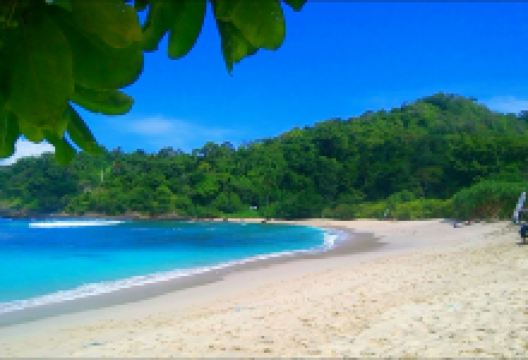 Wedi Ireng Beach景点图片