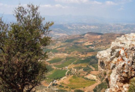 Winery Sinadinakis景点图片