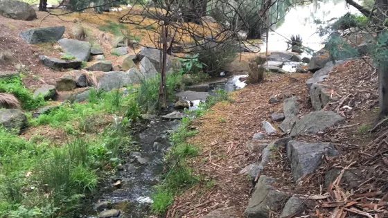 Herriotts Glen Reserve