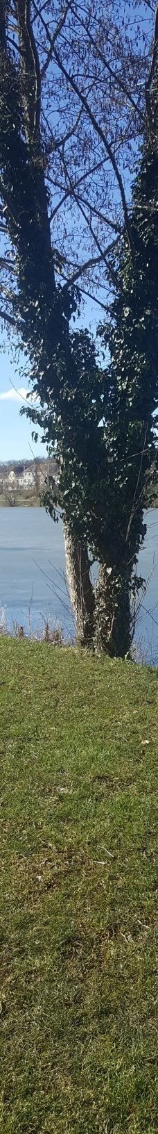 Lac de Creutzwald-柯哲斯瓦尔德拉克鲁瓦