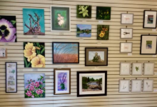 Bay Breeze Art Gallery景点图片