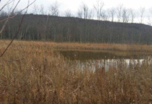 Goose Pond Mountain State Park景点图片