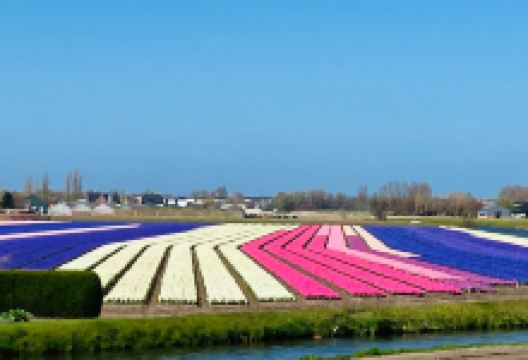 EasyFiets购物图片