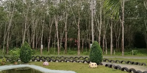 Road Runner Buggy and ATV Adventure Phuket