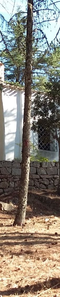 Chiesa della Madonna del Monte Nero-迪拜