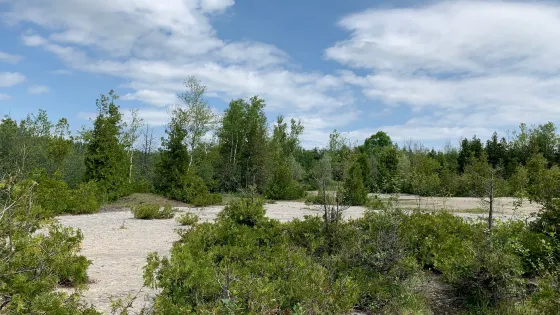 Fletcher Creek Ecological Preserve