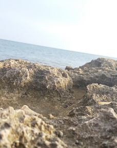 El Hamra-马赫迪亚