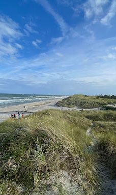 Lyngså Strand-赛比