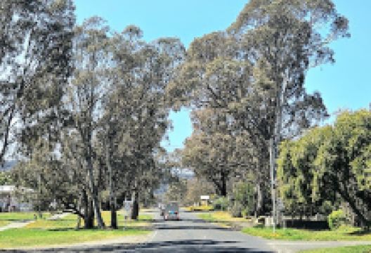 Stanley Park景点图片