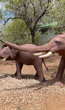 Ruaha National Park INGRESSO-伊林加