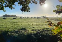 Camping De Bolderik Friesland景点图片