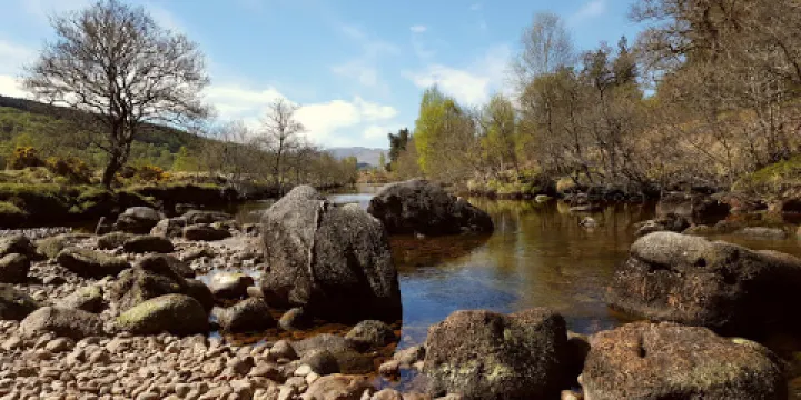 Ariundle Oakwood National Nature Reserve